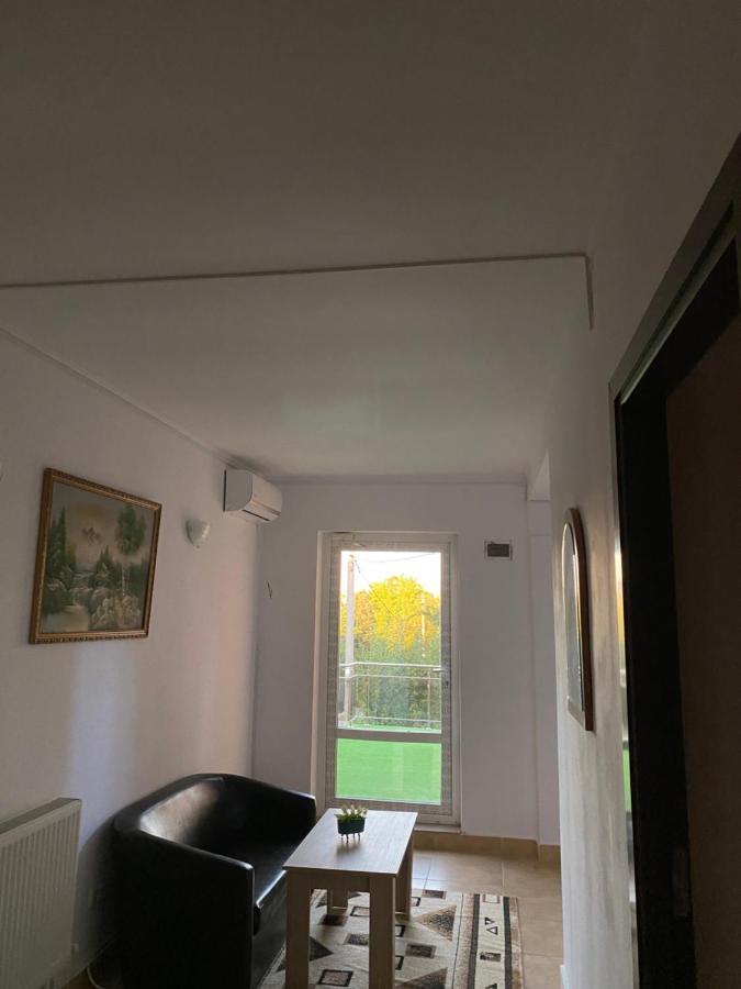 Vila Piscotel Schitu 외부 사진
